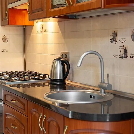 Bv Homey Apartment Lviv